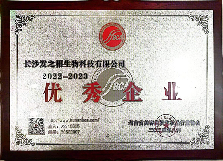 美容沒法行業(yè)協(xié)會優(yōu)秀企業(yè).png